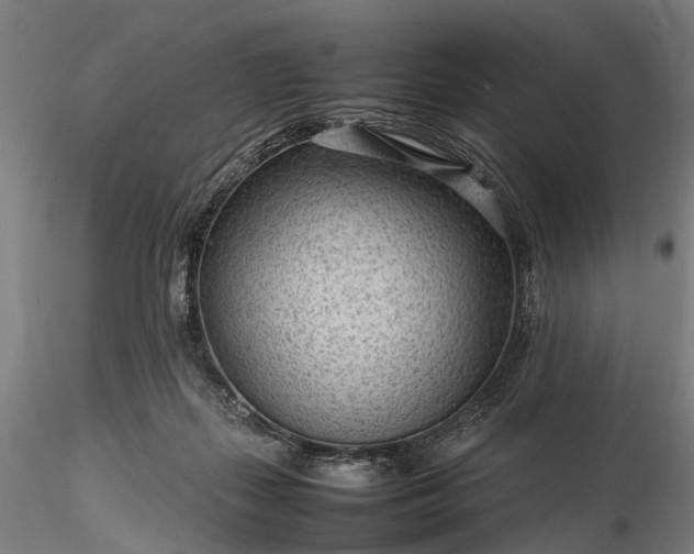 X0000116310267200912141406