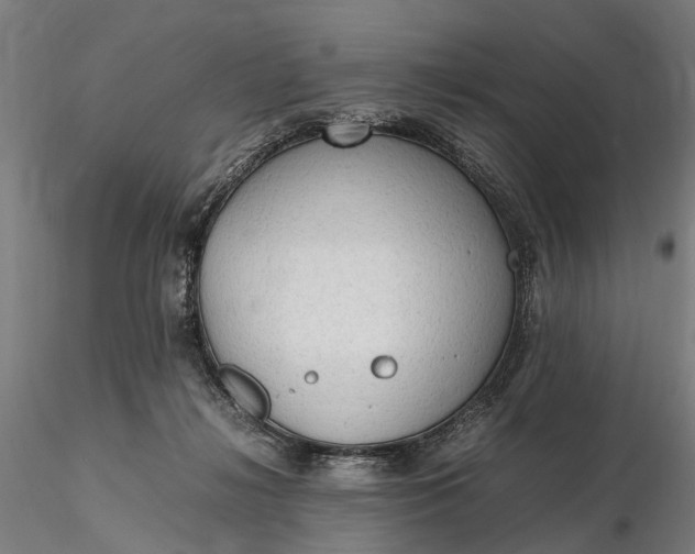 X0000116310268200912141406