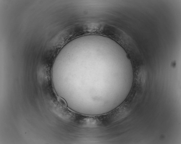 X0000116310272200912141406