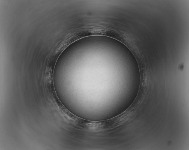 X0000116310273200912141406