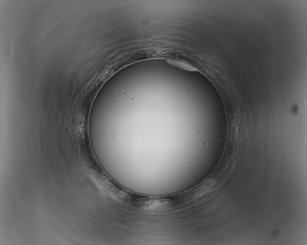 X0000116310274200912141406