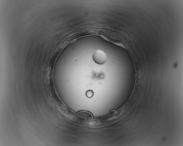 X0000116310275200912141406