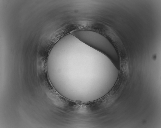 X0000116310276200912141406