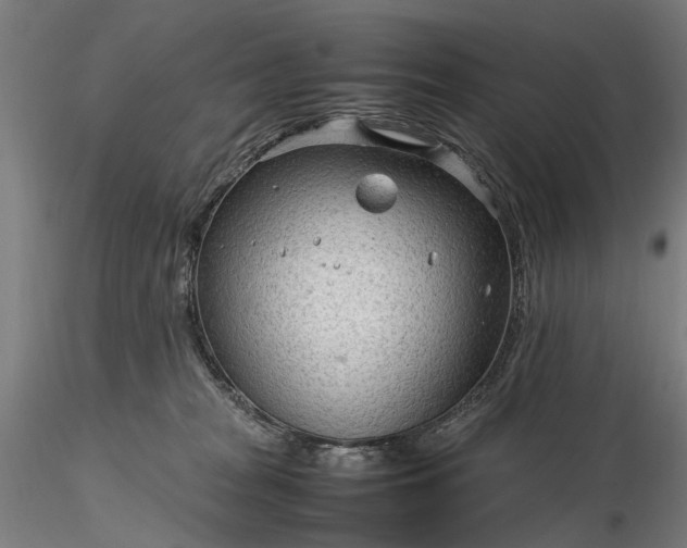 X0000116310277200912141406