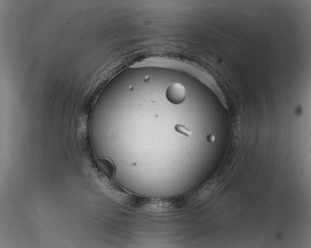 X0000116310278200912141406