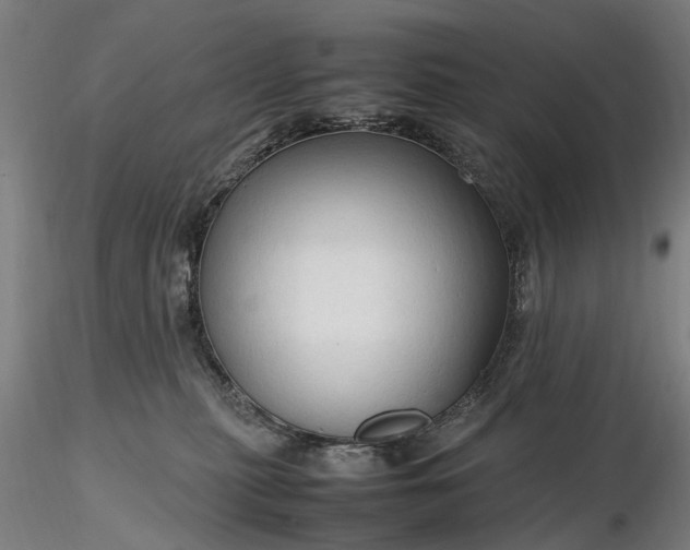 X0000116310279200912141406