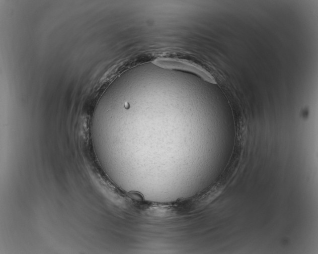 X0000116310280200912141406