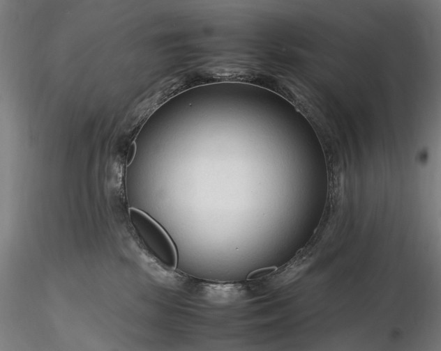 X0000116310281200912141406