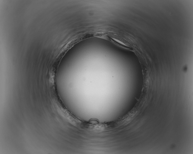 X0000116310282200912141406