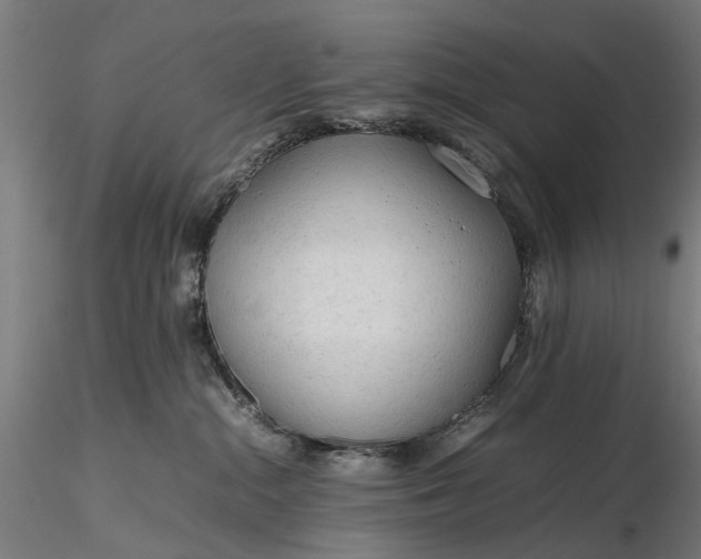 X0000116310284200912141406