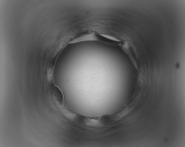 X0000116310285200912141406