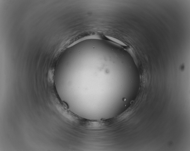 X0000116310286200912141406