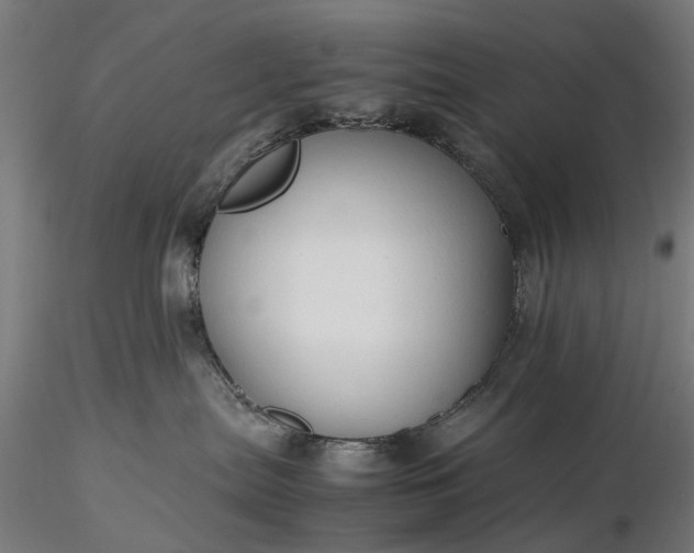 X0000116310287200912141406