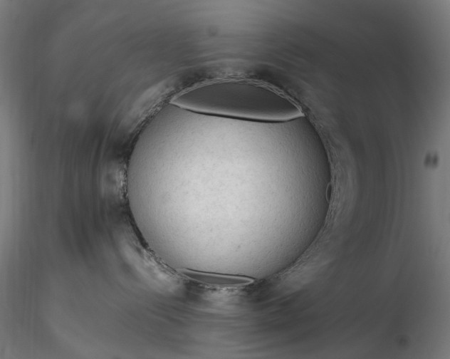 X0000116310288200912141406