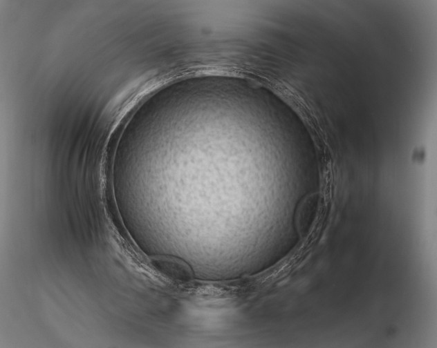 X0000116310290200912141405