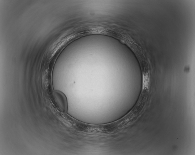 X0000116310291200912141405