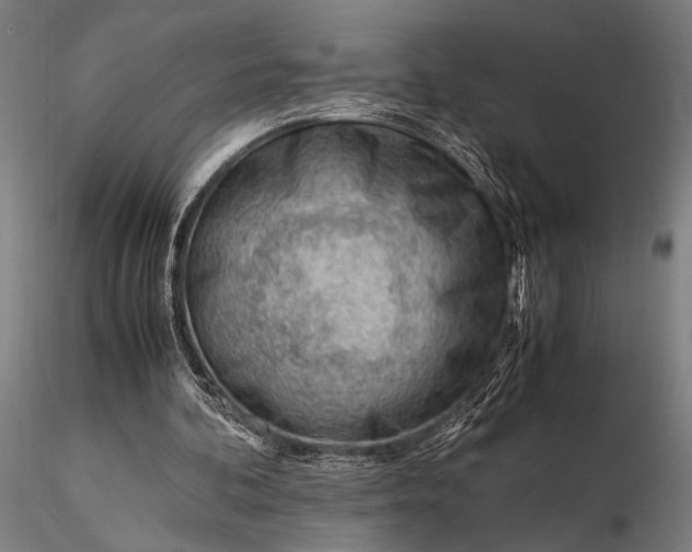 X0000116310292200912141405