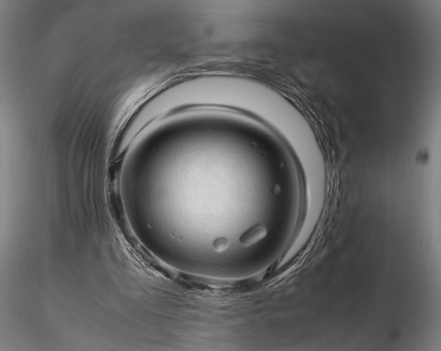 X0000116310293200912141405