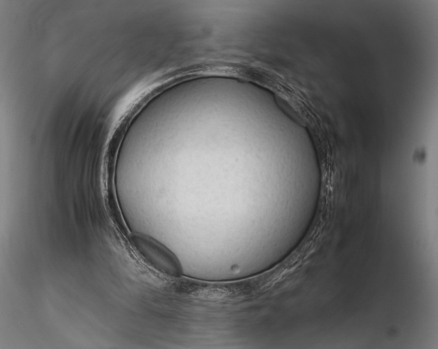 X0000116310294200912141405