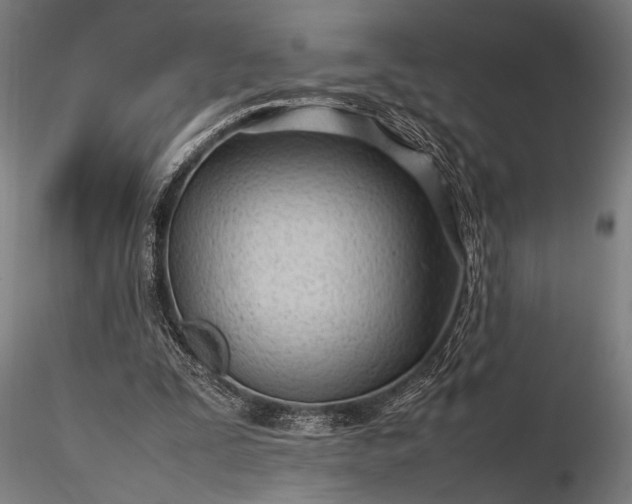 X0000116310295200912141405