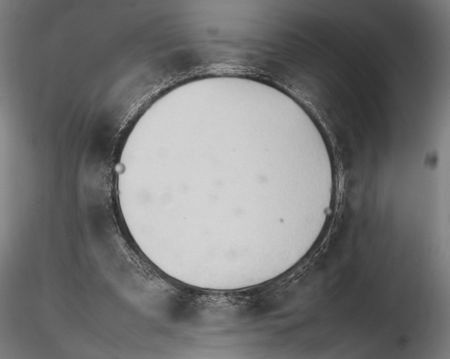 X0000116310297200912141405