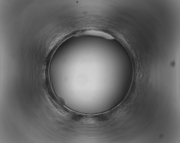 X0000116310299200912141405