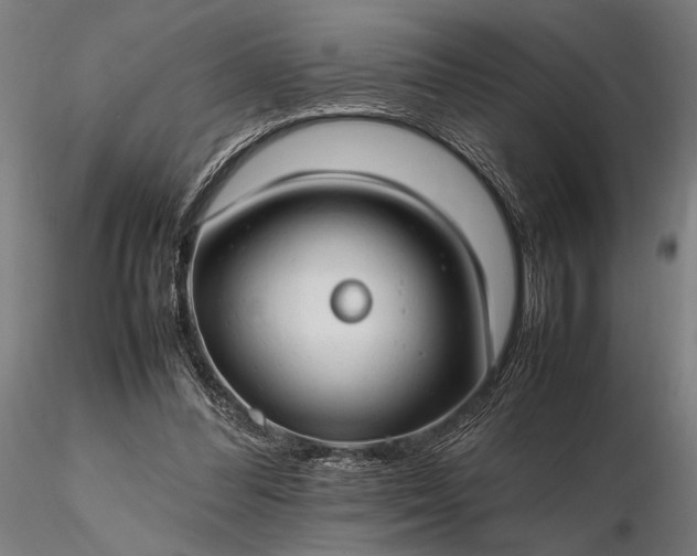 X0000116310300200912141405