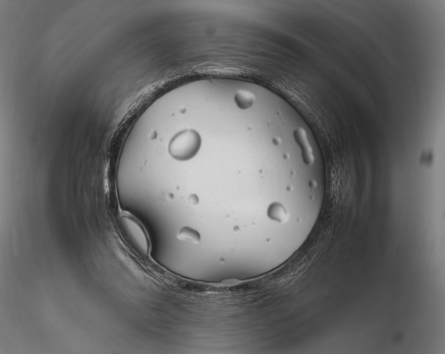 X0000116310302200912141405