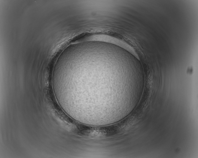 X0000116310303200912141405