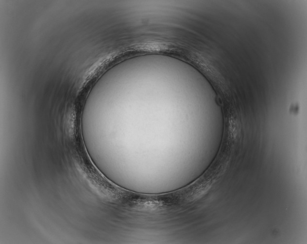 X0000116310304200912141405