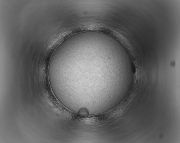 X0000116310306200912141405