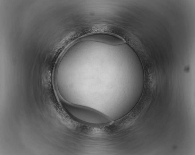 X0000116310308200912141405