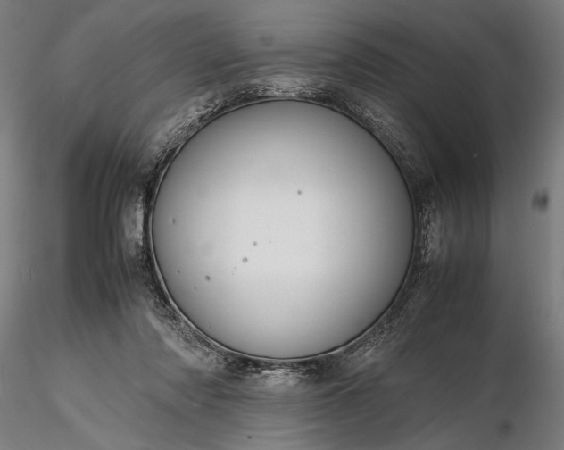 X0000116310310200912141405