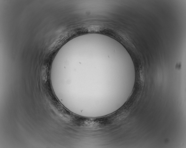 X0000116310311200912141405