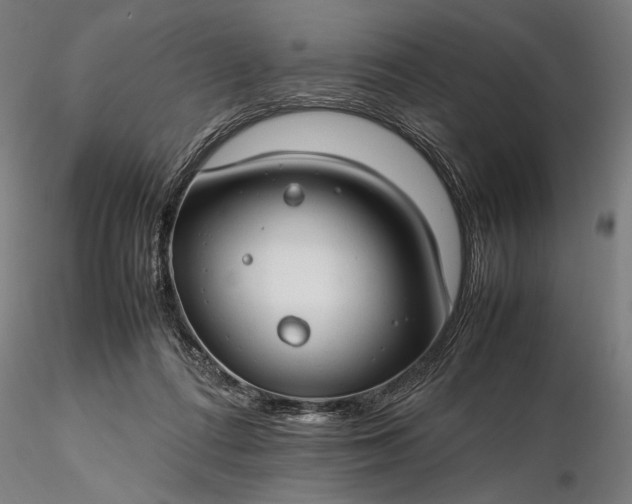 X0000116310312200912141405