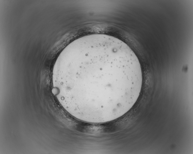 X0000116310313200912141405