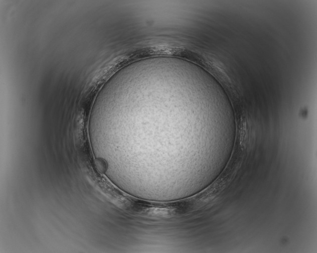 X0000116310314200912141405