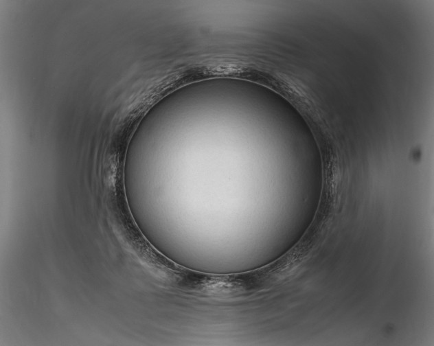 X0000116310315200912141405