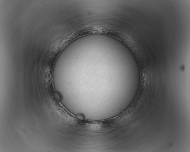 X0000116310318200912141405