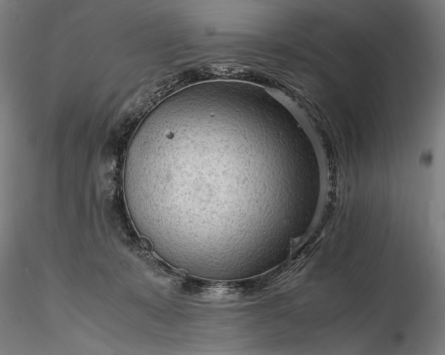 X0000116310319200912141405