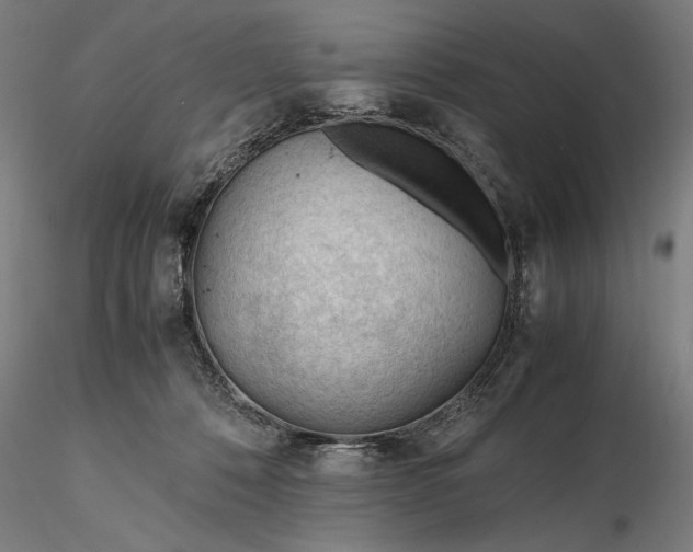 X0000116310320200912141405