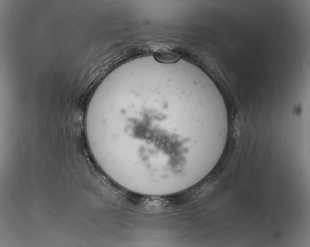 X0000116310321200912141405