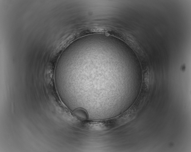 X0000116310322200912141405