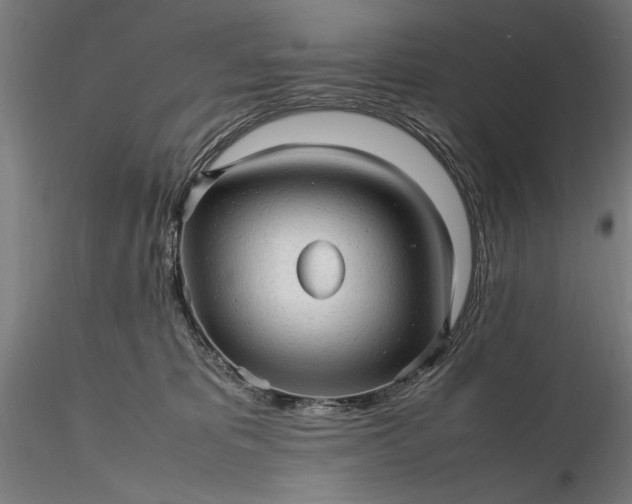 X0000116310325200912141405