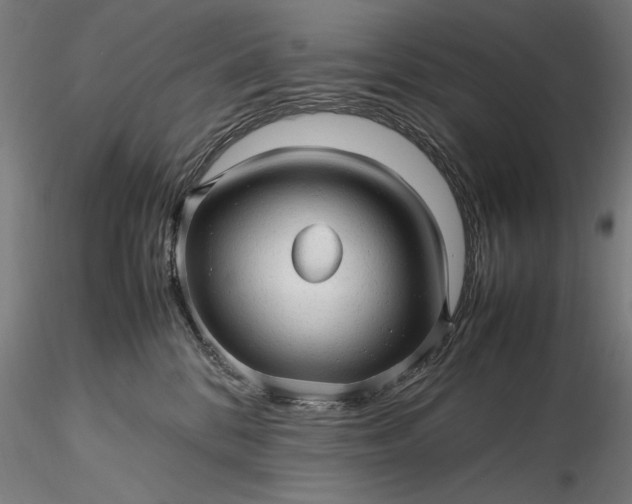 X0000116310328200912141405