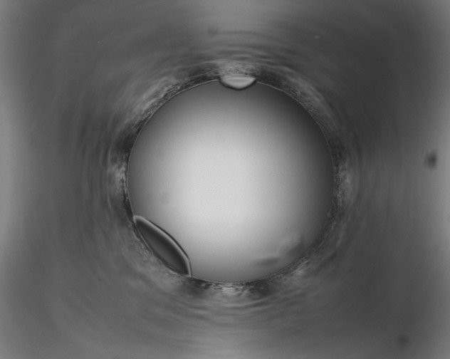 X0000116310329200912141405