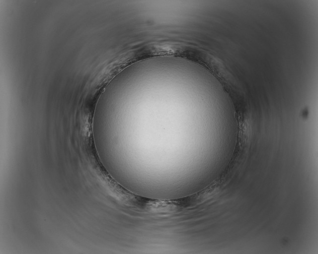 X0000116310331200912141405