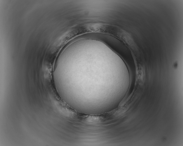 X0000116310332200912141405