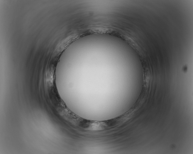 X0000116310334200912141405