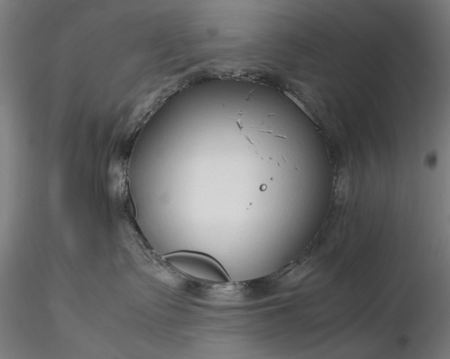 X0000116310335200912141405